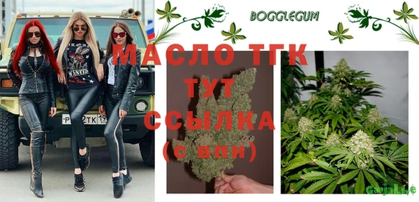 крисы Алзамай