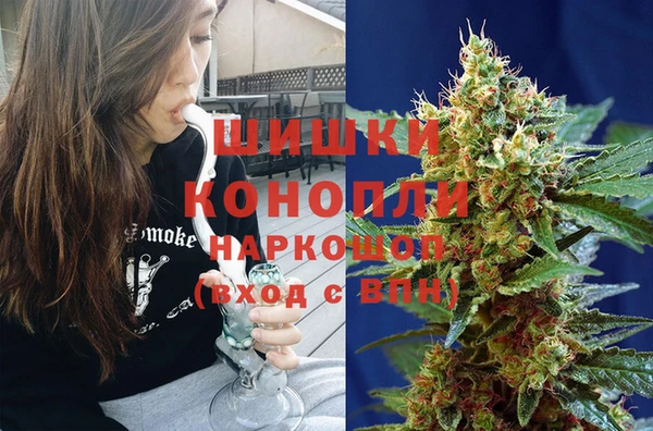 крисы Алзамай