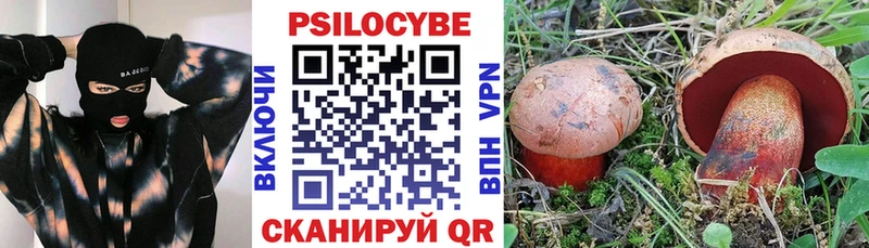 Псилоцибиновые грибы Cubensis  Кирсанов 